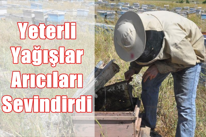 SİVEREK'TE ARICILAR DURUMLARINDAN MEMNUN 