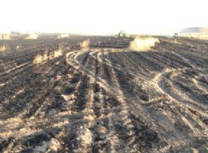 BUĞDAY EKİLİ ARAZİDE YANGIN