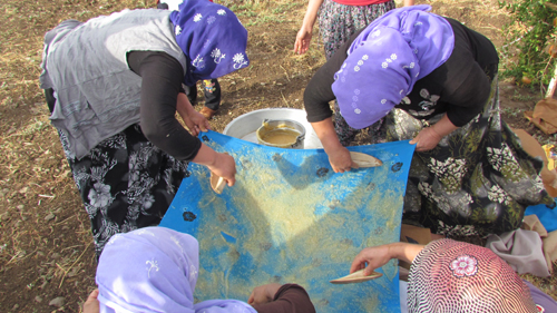 SİVEREKTE KERGE ZAMANI