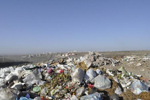 SİVEREKİ ÇÖPLÜK MÜ TEMSİL EDİYOR?