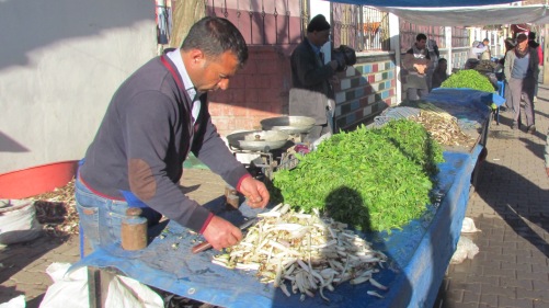 BAHARIN MÜJDECİSİ BİTKİLER PAZARDA