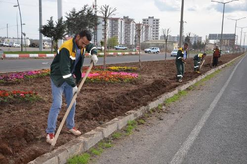 BELEDİYEDEN ORTA REFÜJ ÇALIŞMASI