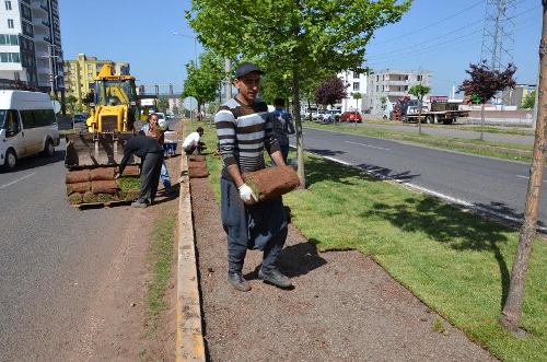 BELEDİYENİN ÇALIŞMALARI SÜRÜYOR