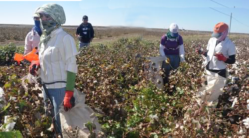 UCUZ ANADOLU İŞÇİLERİ