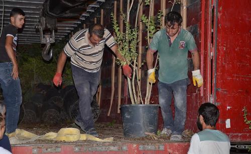 ÜÇGEN PARK PROJESİ DEVAM EDİYOR