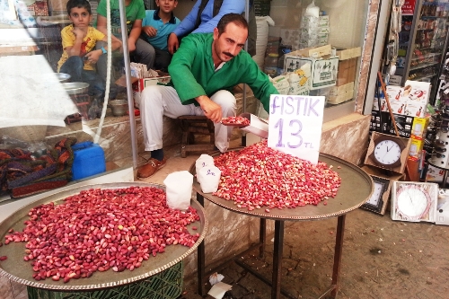 FISTIĞIN KİLOSU 13 TL'YE DÜŞTÜ