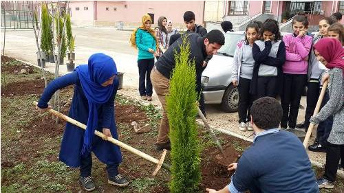 ÖĞRENCİLER OKUL BAHÇELERİNE FİDAN DİKTİ