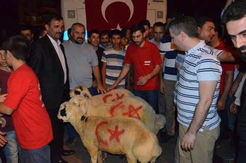 Darbe Fitnesinden Selamet İçin Kurban Kesildi