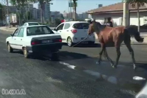 Otomobilin arkasına bağladığı atla trafiğe çıktı