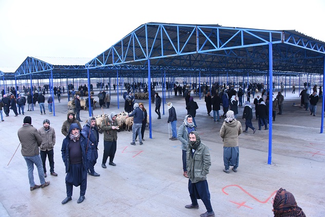 Güneydoğu Bölgesi'nin en büyük hayvan pazarı açıldı