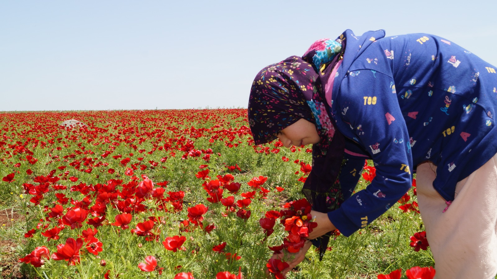 Çocuklar 4 saatlik izinlerini gelincikler içinde geçirdi