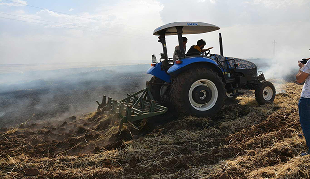  Siverek'te 400 dönüm ekili arazide yangın çıktı
