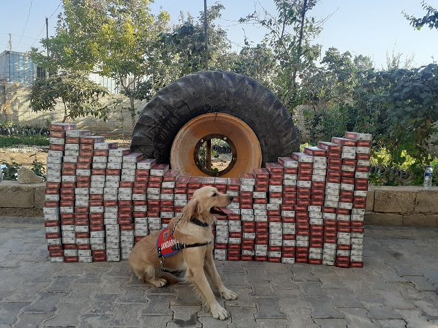 Şanlıurfa'da 11 bin 800 paket kaçak sigara ele geçirildi
