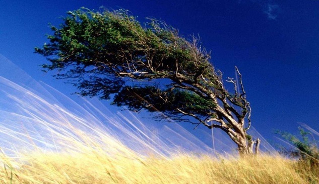 Dikkat! kuvvetli rüzgâr geliyor
