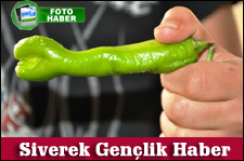 YILAN ŞEKLİNDEKİ BİBER GÖRENLERİ ŞAŞIRTTI