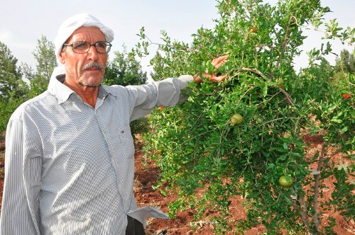 NAR ÜRETCİLERİNİN PAZAR SIKINTISI