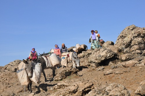 SİVEREKLİ KÖYLÜ KADINLARIN SU FERYADI