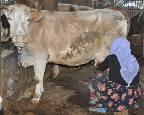 SİVEREK'TE EKONOMİSİNDE NELER OLUYOR