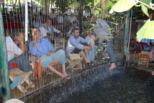 AYAKLARINI HAVUZA BIRAKIP SERİNLEDİLER