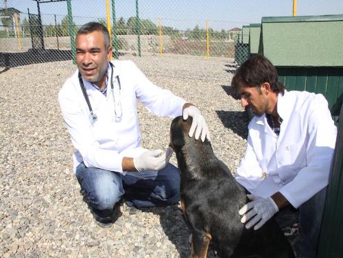 HAYVAN BARINAĞI HİZMETE AÇILDI