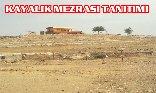 KAYALIK (VANGUG) MEZRASI TANITIMI: