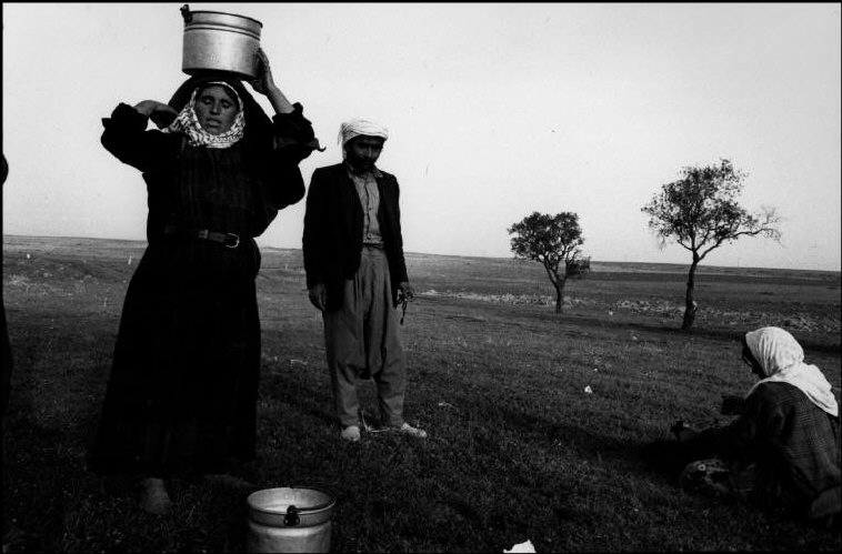 RİCHARD'IN OBJEKTİFİNDE SİVEREK