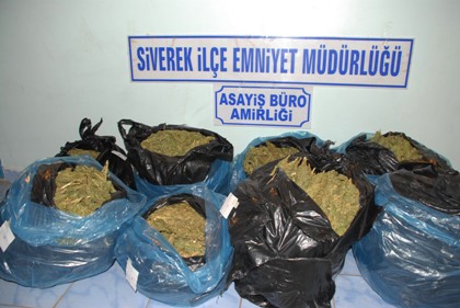 SİVEREKTE 146 KİLO ESRAR ELE GEÇİRİLDİ
