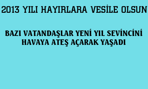 2013 YILINA SİLAH SESLERİNİN GÖLGESİNDE GİRDİK