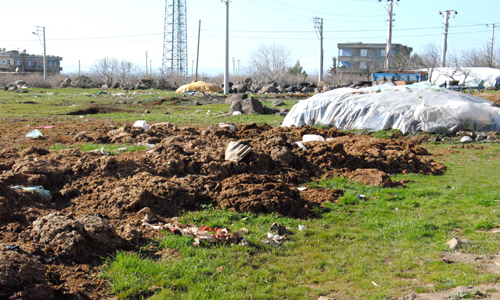 HAYVAN ATIKLARINI DIŞARI ATANLARA CEZA GELECEK