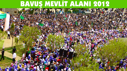 KUTLU DOĞUM ETKİNLİK ALANI BELLİ OLDU