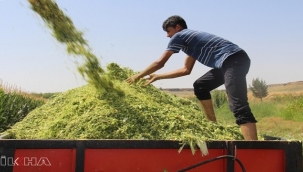 Çiftçilere destek ödemeleri bugün başladı