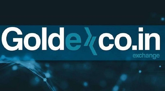 Kripto para platformu GoldexCoin de erişime kapatıldı 