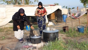 Mevsimlik tarım işçileri ölüyor, birileri seyrediyor