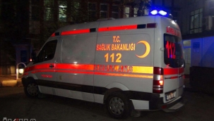 Şanlıurfa'da tüfekle yılana ateş ederken 4 çocuğu yaraladı 