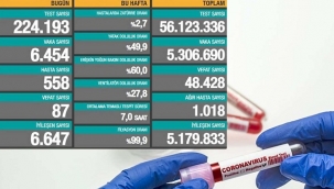 Coronavirus'ten son 24 saatte 87 kişi vefat etti