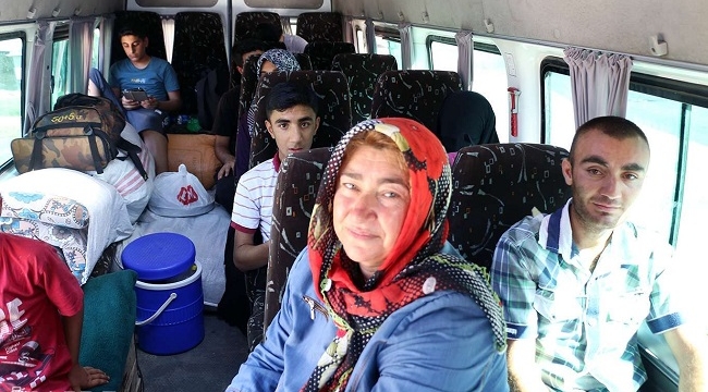 Mevsimlik tarım işçileri için kaysı toplama zamanı