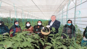 Şanlıurfa'da "Toplum Temelli Seracılık" projesi uygulandı