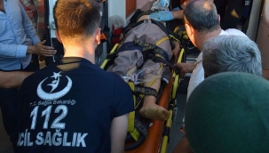 Siirt'te patpat devrildi: 4'ü ağır 9 yaralı