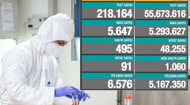 Son 24 saatte 91 can kaybı, 5 bin 647 yeni vaka 
