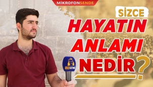 Urfalılar "Hayatınızın anlamı nedir?" sorusuna cevap verdi