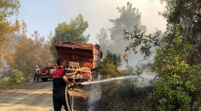 Osmaniye'deki orman yangınına Urfa itfaiyesinden destek
