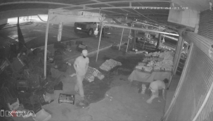 Siverek'te iş yerinden hırsızlık olayı güvenlik kameralarına yansıdı