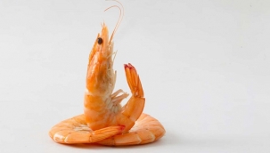 İstakoz ve karides yemek helal mi? 