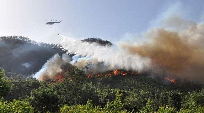 Türkiye'deki tüm orman yangınları kontrol altına alındı