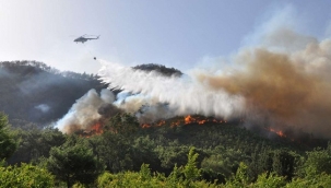 Türkiye'deki tüm orman yangınları kontrol altına alındı