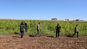 Siverek'te 17 Afgan ve Pakistan uyruklu göçmen yakalandı