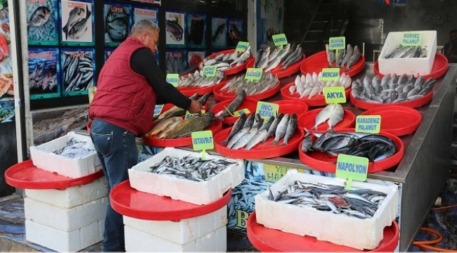 Havaların soğumasıyla birlikte balık satışları arttı