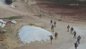 Göçmen kaçakçılığı yapan örgüte operasyon: 30 gözaltı