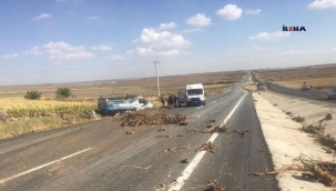 Siverek'te kamyonet şarampole yuvarlandı: 2 yaralı