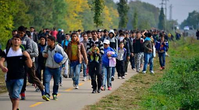 Şanlıurfa'da 64 düzensiz göçmen yakalandı